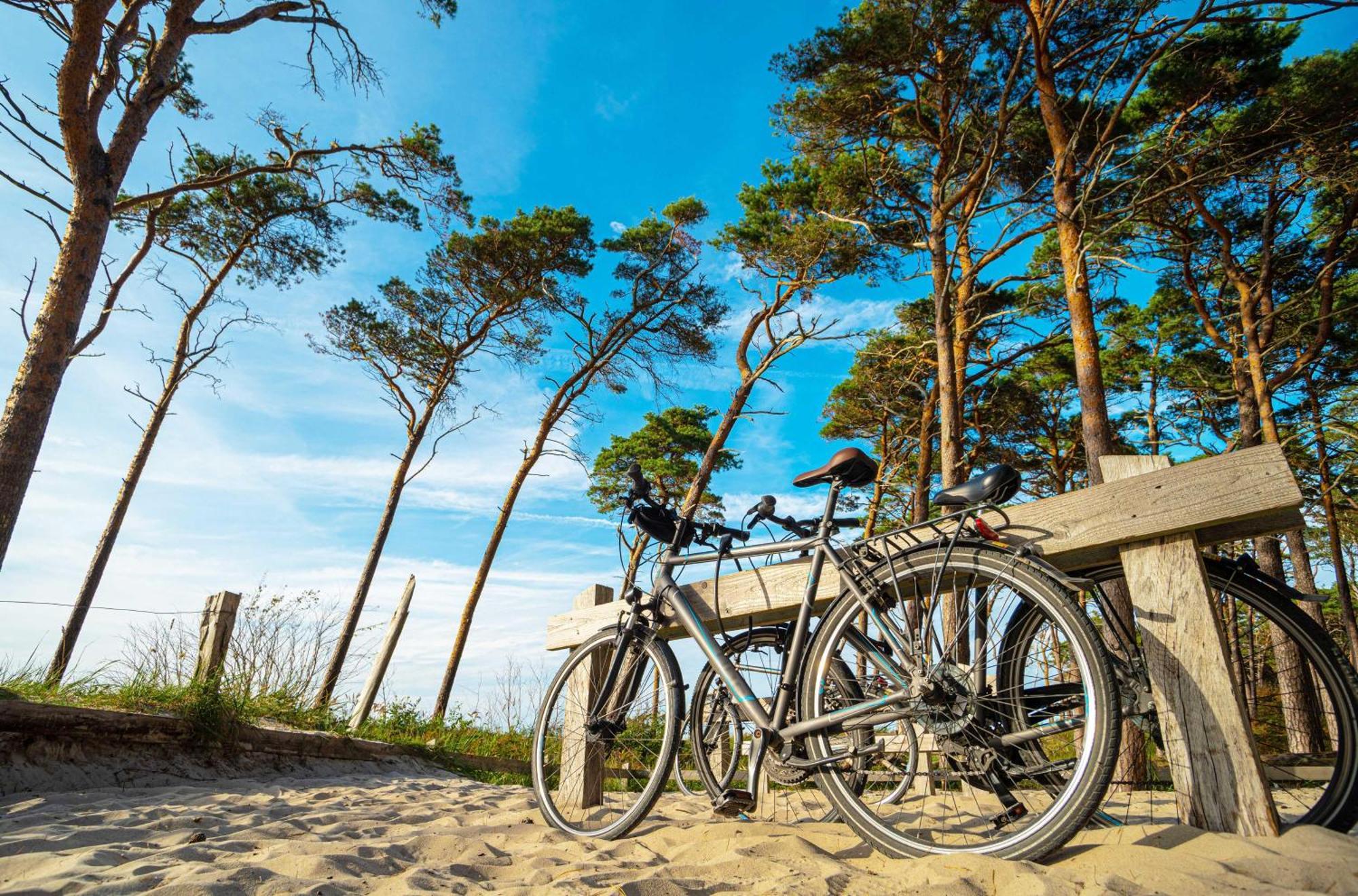 Apartment Heymat An Der Seebruecke Zingst Εξωτερικό φωτογραφία